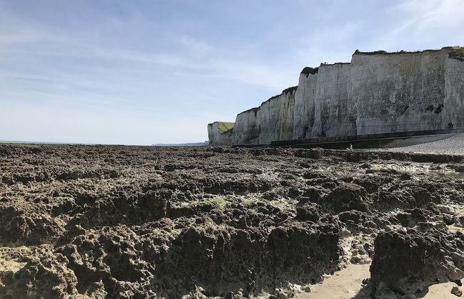 Parc Beausejour Dieppe - Foto 47