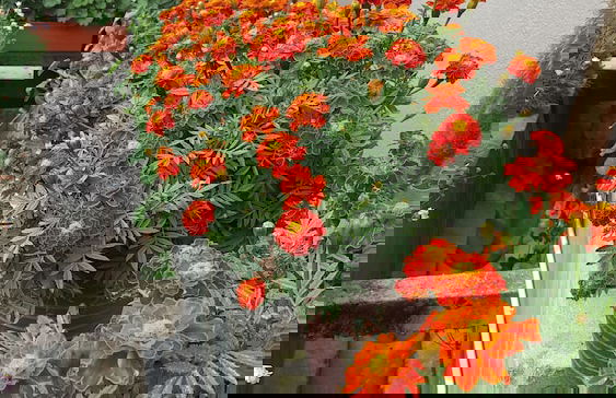 KPW at Royal Lily Apartment - Foto 28