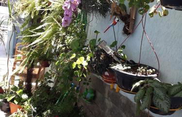 Casa Vista Panorâmica Itaipu - Foto 77