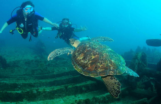 Beginners' Scuba Diving Lesson in Praia do Porto - Foto 4
