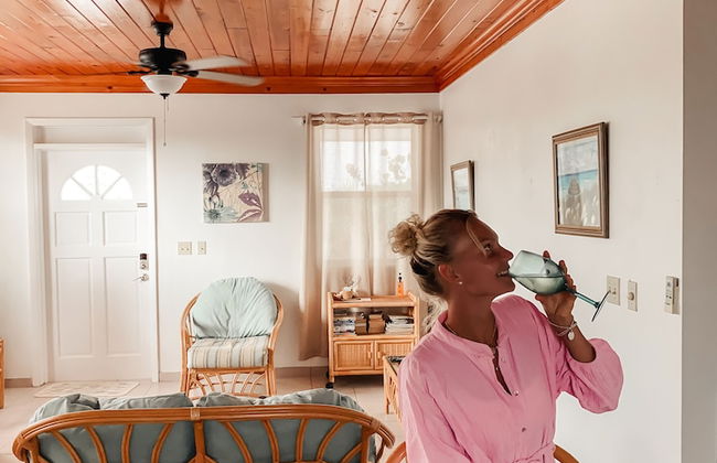 Tropical View Villa - Foto 16