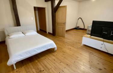 Appartement de 50m2 au centre de Cusset - Foto 6