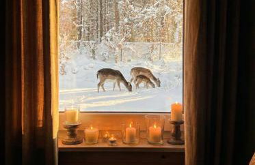 LakeView DomekNaKaszubach - Foto 4