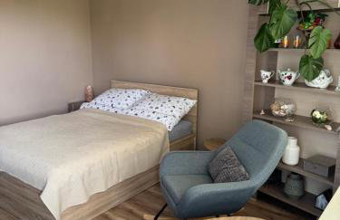 APARTAMENT MAGNOLIA - Foto 8