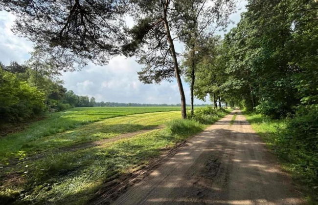 Holiday Home in Netherlands With Private Pool - Photo 42