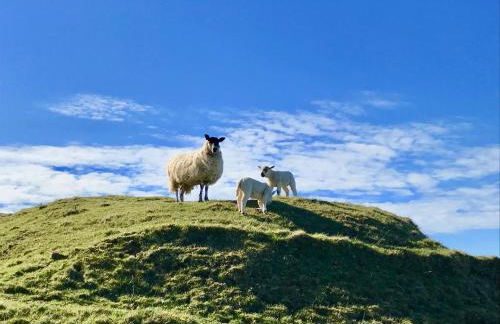 Tornaroan Cottage - Foto 80