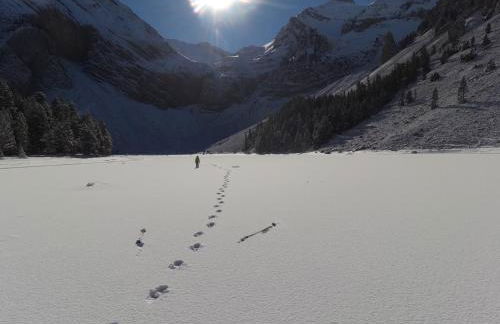 Apartamento Escalona Ordesa - Foto 21