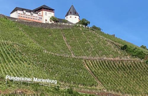 Burgblick Pünderich - Foto 42