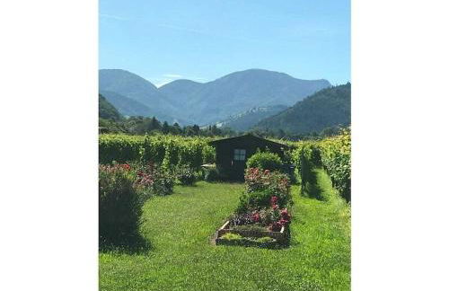 Am Wiiwegli Comfortable holiday residence - Foto 25