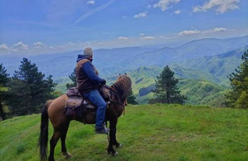 Villa Pacinotti - Foto 19