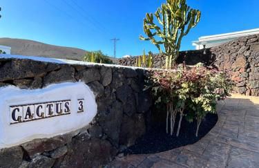 Villa Cactus Piscina Climatizada - Foto 28