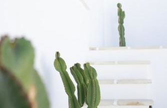 Dimora Lauré - Foto 29