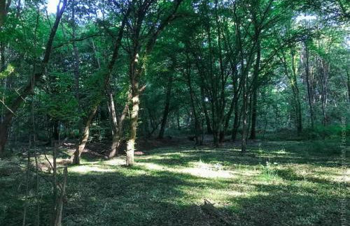 Ferienwohnung zum Zaubergarten - Foto 32