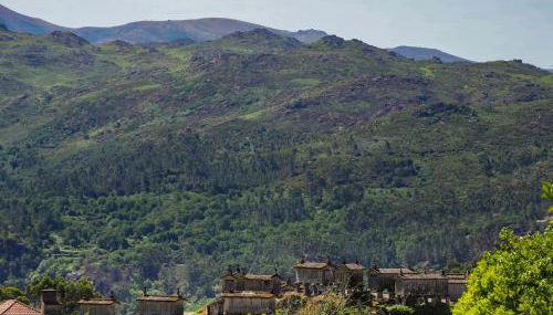 Casa Das Videiras - Foto 5