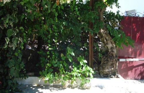 Casa de Marlães - Foto 37