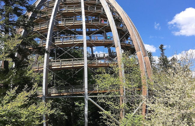 Comfortable Apartment in Zenting in Lower Bavaria - Foto 48