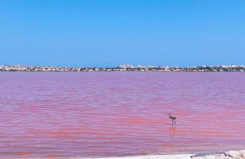 Playa Elisa 13 - Foto 26