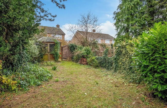 16th Century Thatched Cottage - Photo 18