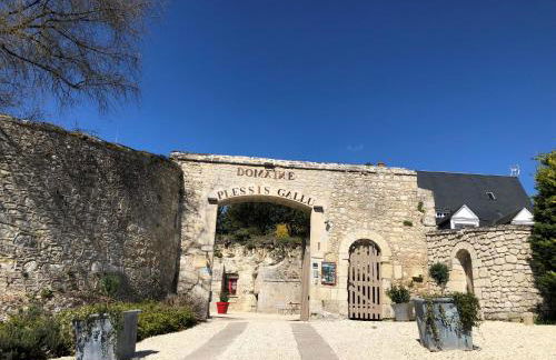 Domaine Plessis Gallu - vacation cottage rental - Foto 33