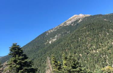 Villazia The Highest - Foto 72