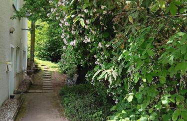 Ferienwohnung Am Waldesrand - Foto 6