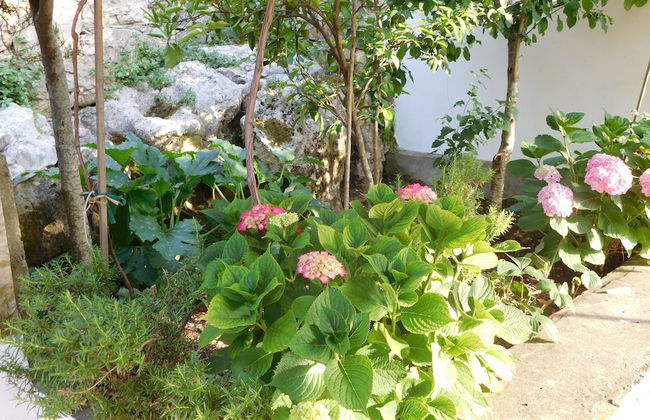 Apartments Ivancevic - Foto 59