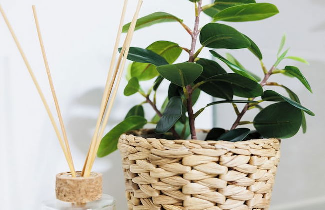 BOHO Studio - Augarten City Apartment - Photo 8