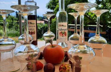 Obst- Und Ferienhof Marschall - Foto 10
