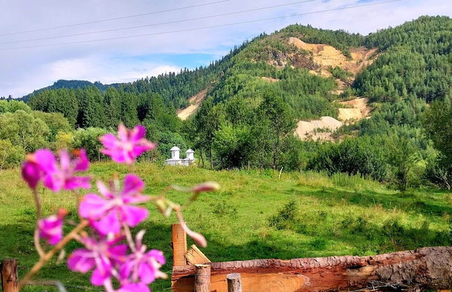 Rustic Wild Retreat IN Romania - Foto 52