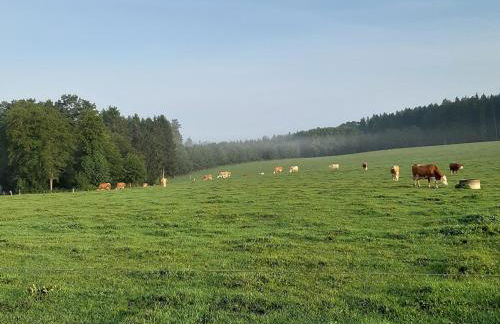 Rottaler Ferienhaus - Rottaler Oachkatzl - Foto 57