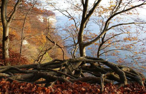 Ferienwohnung Stein - Foto 14