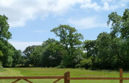 3 Bed in Pembroke oc-bow018 - Foto 48