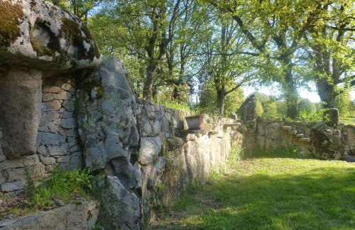 Fattoria Sos Astores - Foto 12