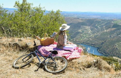 PH in Alto Douro Vinhateiro - Foto 14