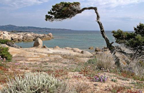 Maison récente entre mer et montagne - Foto 11