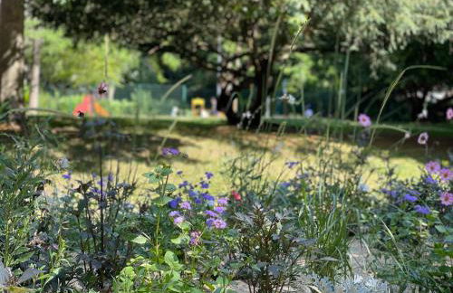 Lille Saint Maur - Foto 13