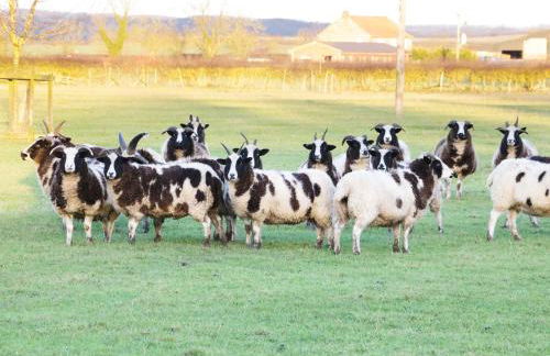 Sunset Cottage - Foto 16