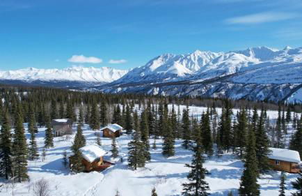 Little Bear Getaway Cabins - Foto 20