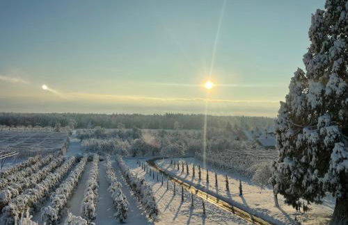 Hofgut Bergchalet Mirabell - Natururlaub am Bodensee - Foto 41
