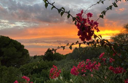 Chez Jean Claude la villa des amis - Foto 11