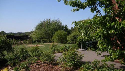 Ferien-und Bauernhof Gauster - Foto 4, Garden, Garden view