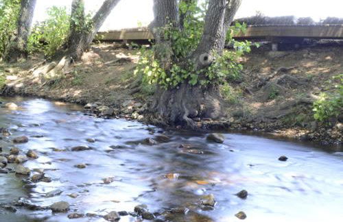 Alojamientos Rurales La Codosera - Foto 47