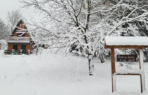 Forest paradise - Photo 36