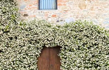 BestOfTuscany Historic Villa Fattoria La Serra - Foto 30