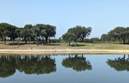 Monte do Lago, Pegões - Foto 26