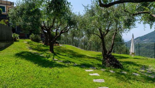 Ollie`s house - Foto 4, Garden