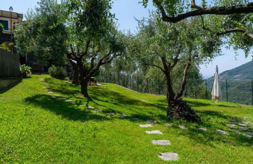 Ollie`s house - Foto 4