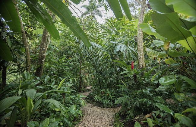 Cabañas del Rio - Foto 11