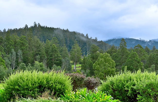 Maydena Mountain Cabins - Foto 31