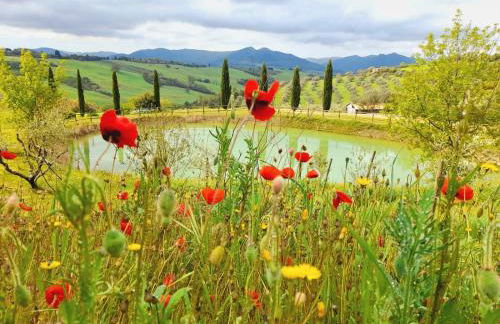 Agriturismo San Tommaso - Foto 17